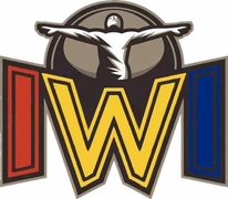 IWI VR Spaceship Simulator-04