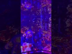 ocean exploring film producing